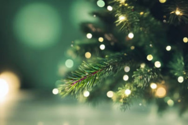 Noël, l&rsquo;occasion de partager un peu de douceur avec nos résidentes